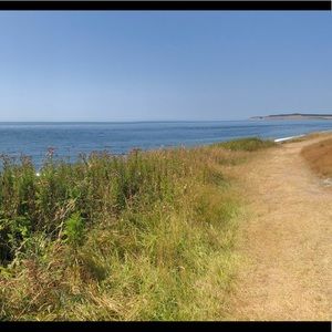 Meet your Posher, Jen